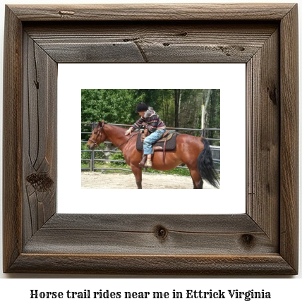 horse trail rides near me in Ettrick, Virginia